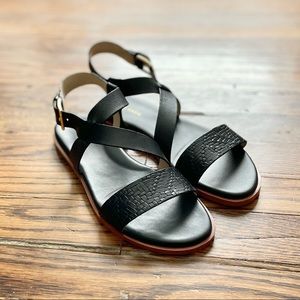 Cole Haan Findra Black Strappy Sandal - Size 6
